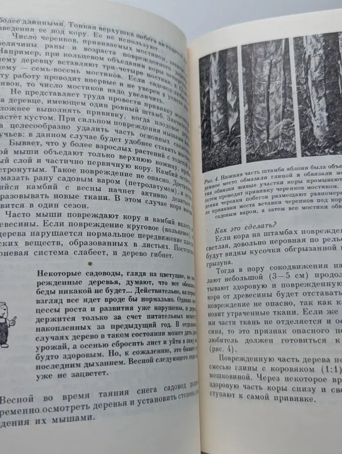 Сезонные работы в приусадебном саду