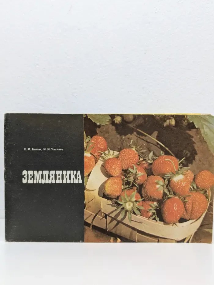 Земляника
