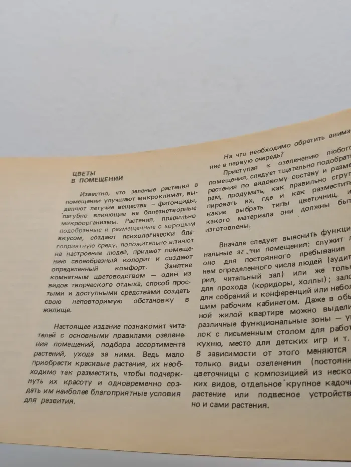 Цветы в интерьере