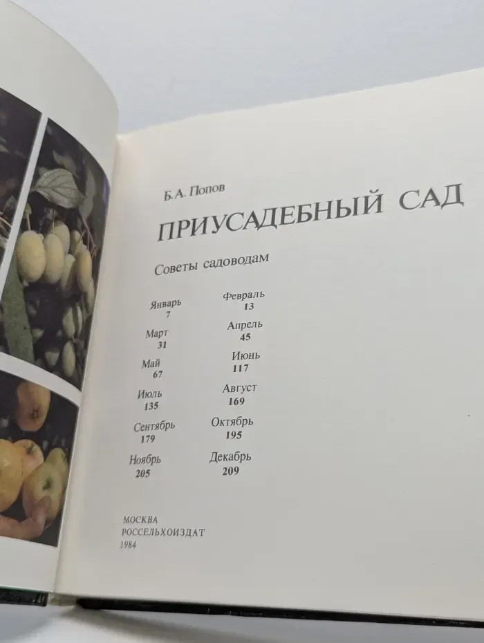 Приусадебный сад