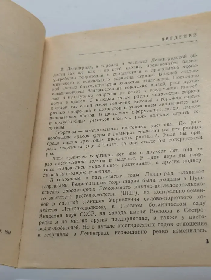 Георгины