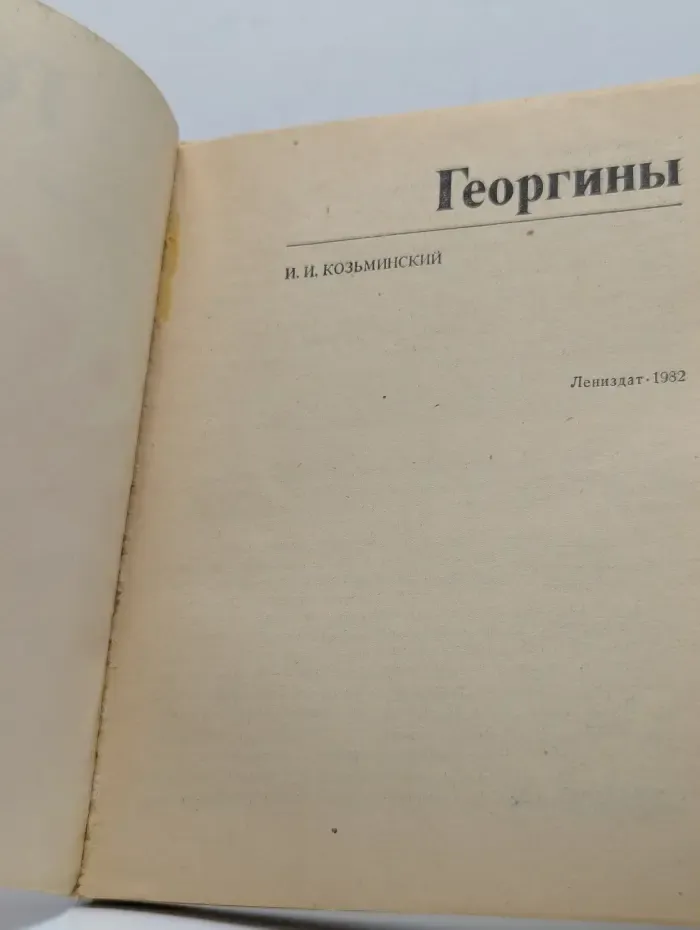 Георгины