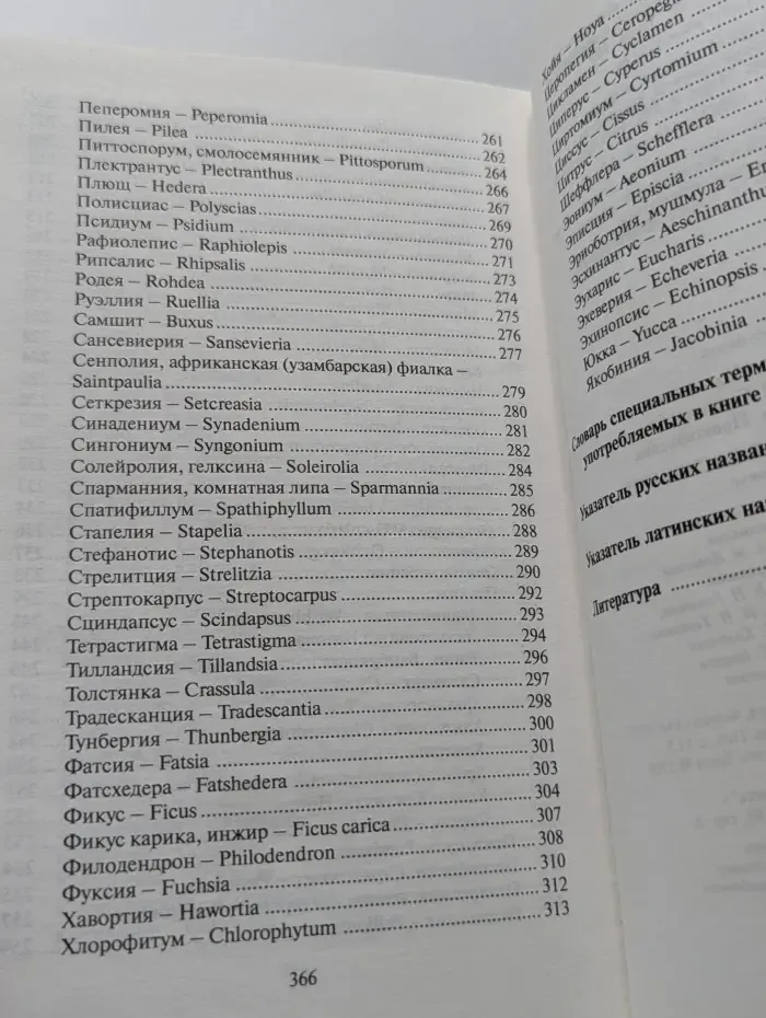 Все о комнатных растениях