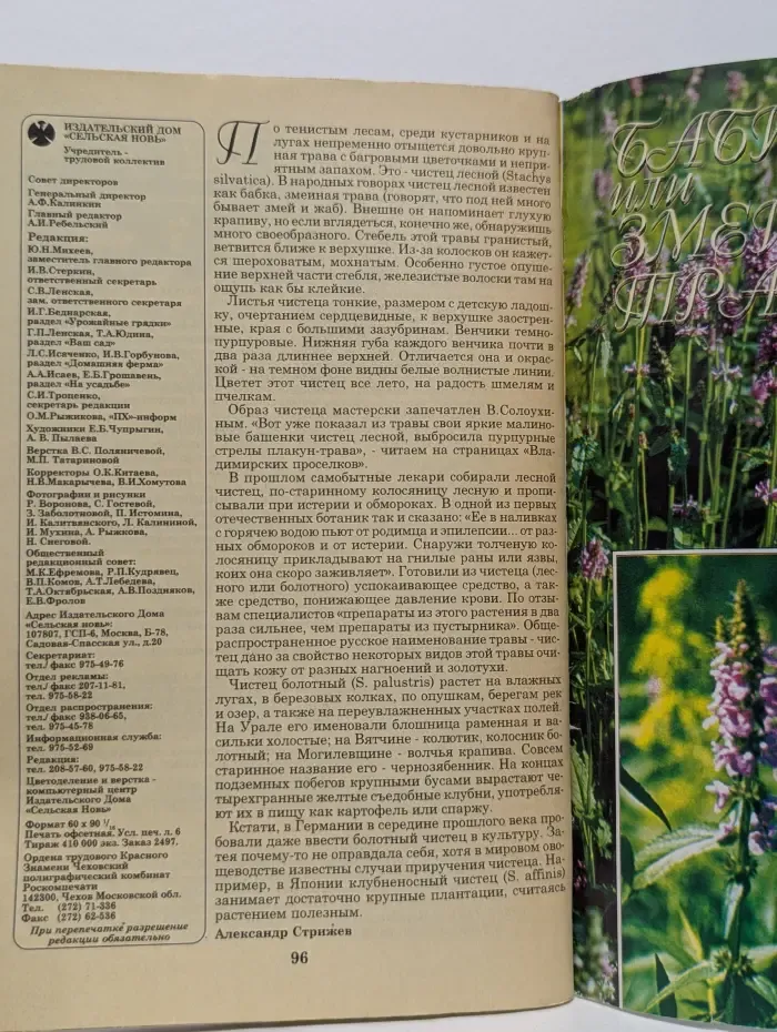Приусадебное хозяйство. Выпуск № 8/1996