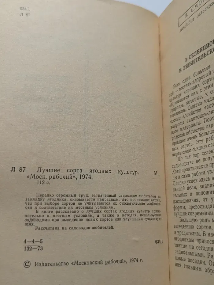 Лучшие сорта ягодных культур