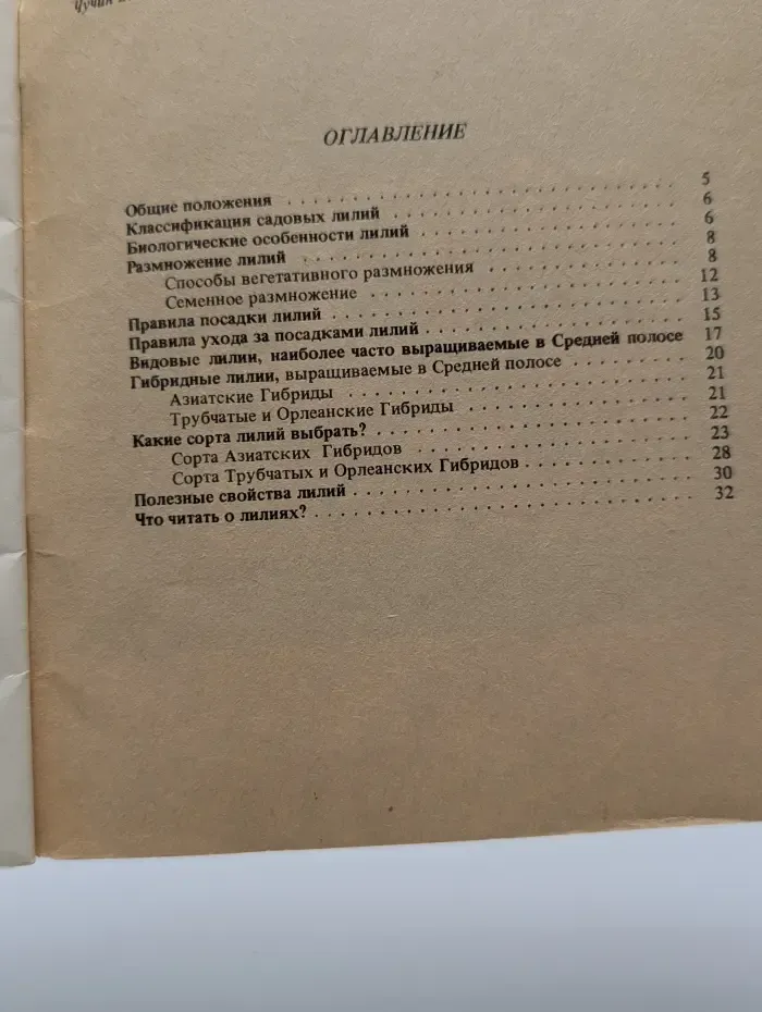 Лилии в вашем саду