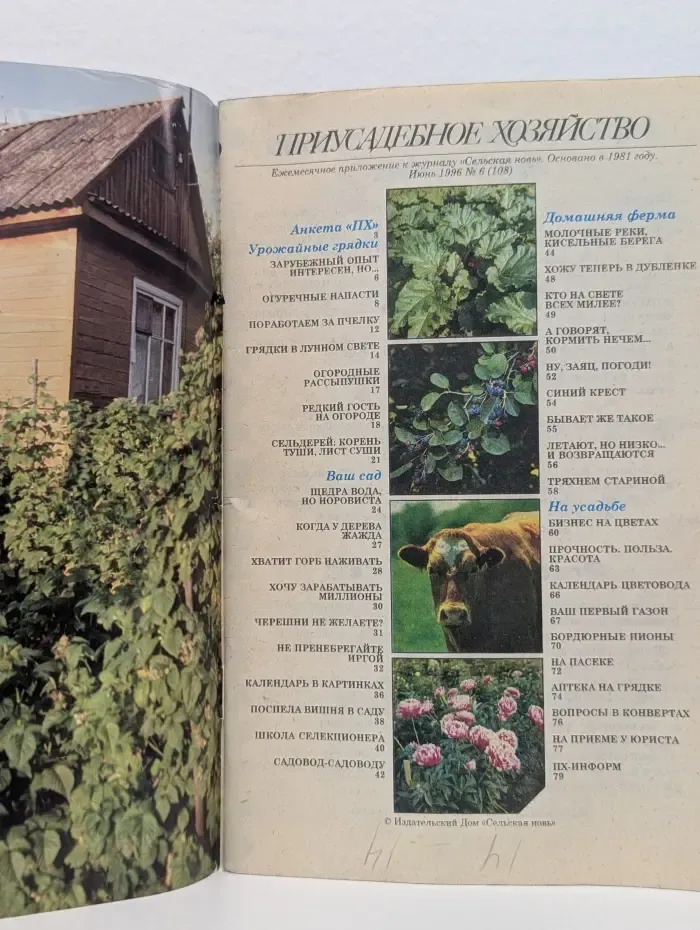 Приусадебное хозяйство. Выпуск № 6/1996