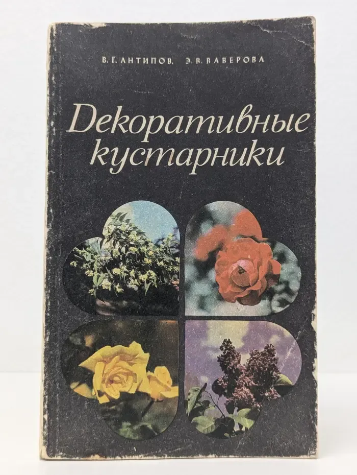 Декоративные кустарники