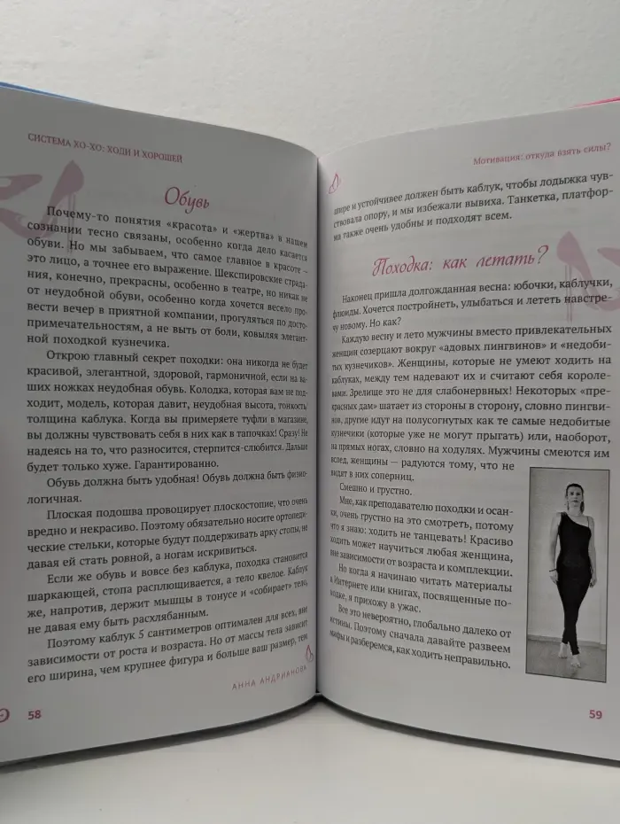 Система Ходи и Хорошей