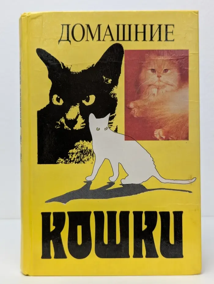 Домашние кошки