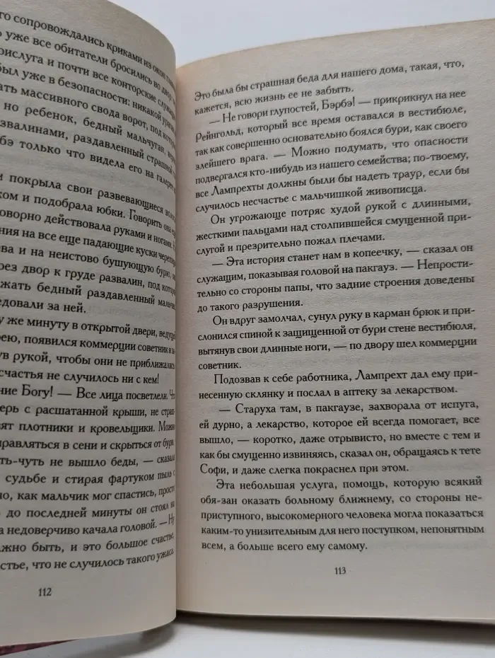 Дама с рубинами. Тайна старой девы