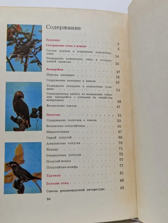Птицы в уголке живой природы