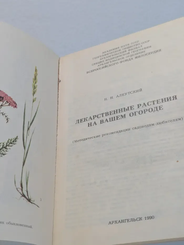 Лекарственные растения на вашем огороде