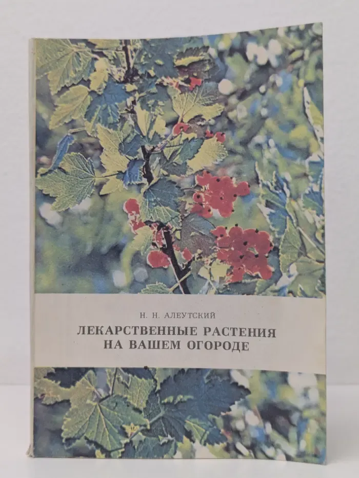 Лекарственные растения на вашем огороде
