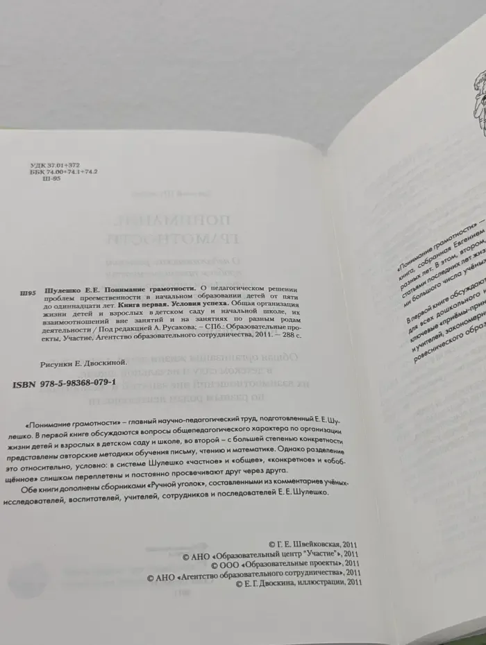 Понимание грамотности. Книга 1. Условия успеха
