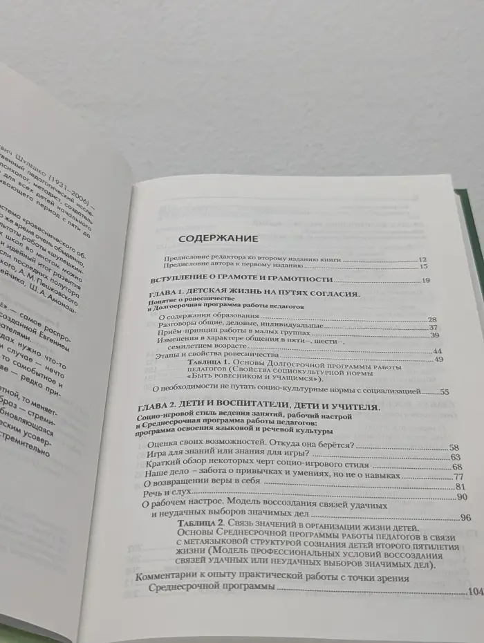 Понимание грамотности. Книга 1. Условия успеха