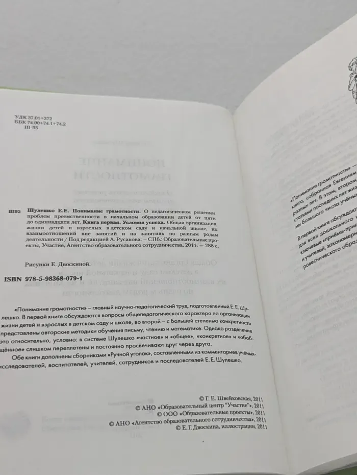 Понимание грамотности. Книга 1. Условия успеха