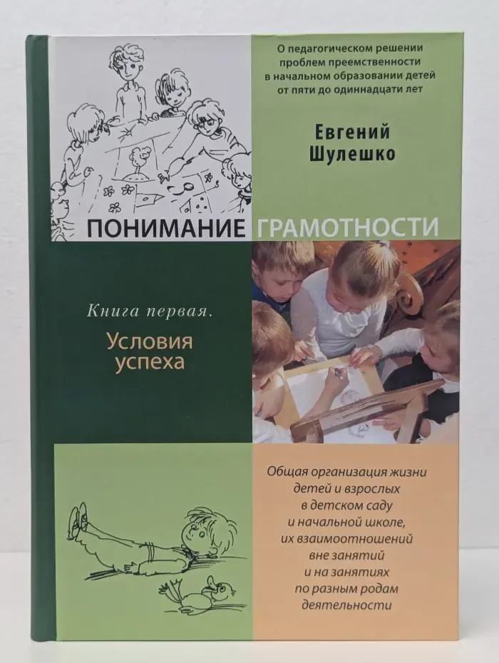 Понимание грамотности. Книга 1. Условия успеха