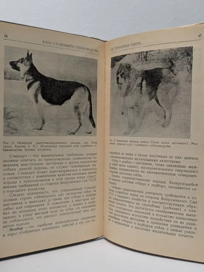 Клуб служебного собаководства