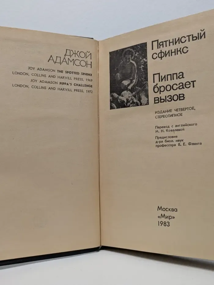 Пятнистый сфинкс. Пиппа бросает вызов