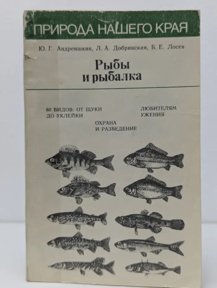 Рыбы и рыбалка