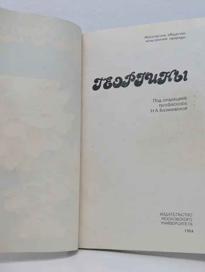Георгины