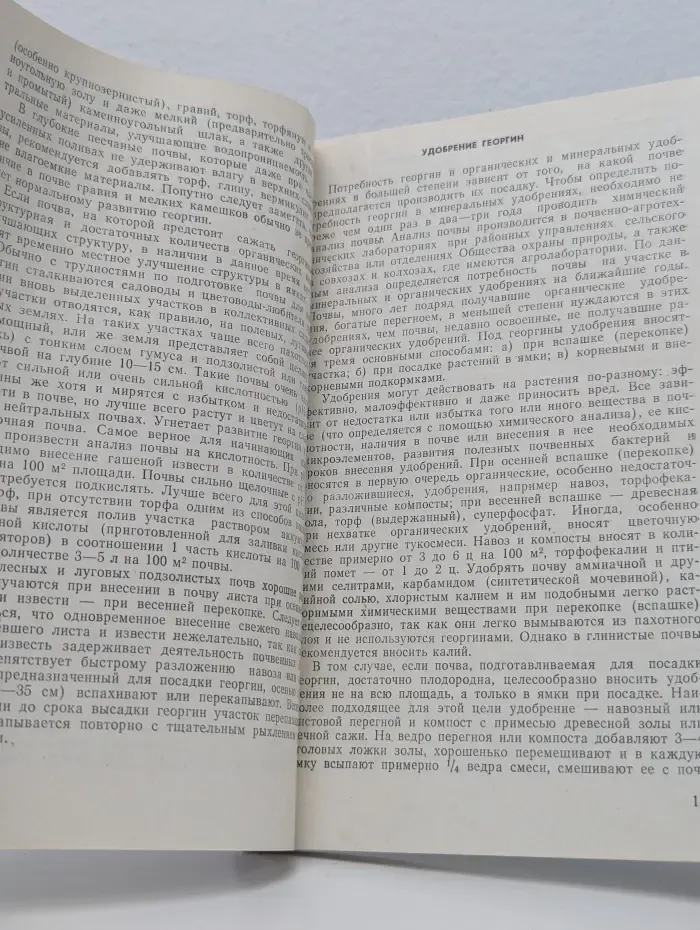 Георгины