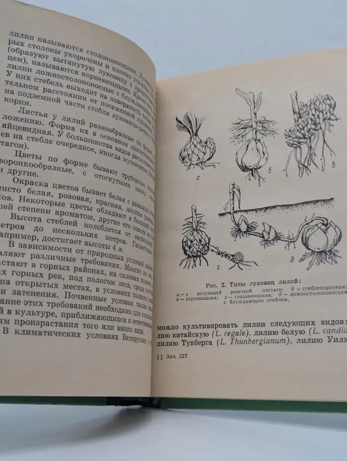 Советы цветоводам