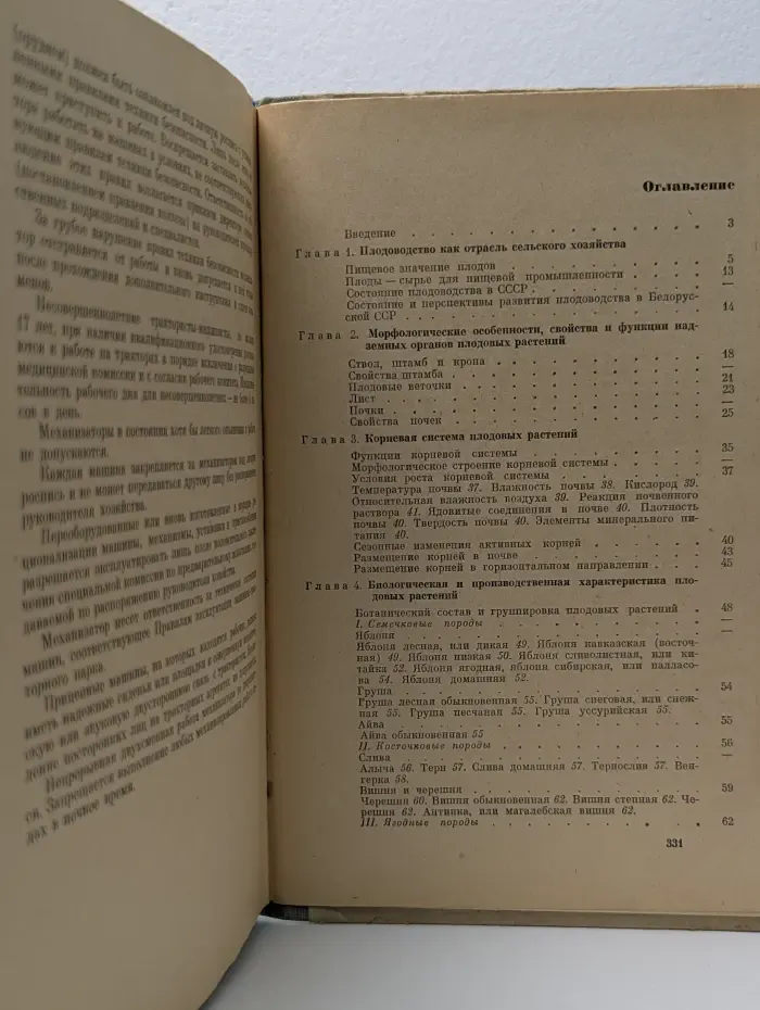 Плодовый сад