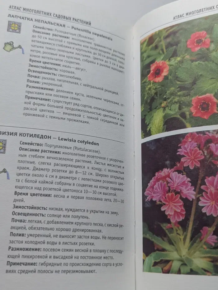 Атлас многолетних садовых растений. Популярные виды и сорта