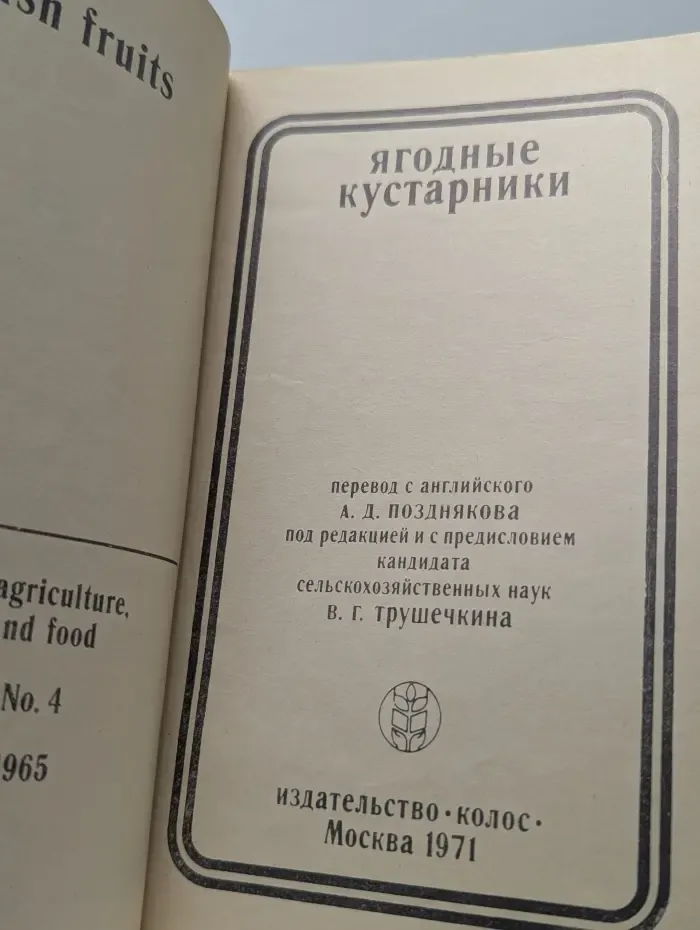 Ягодные кустарники