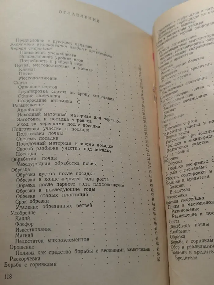 Ягодные кустарники