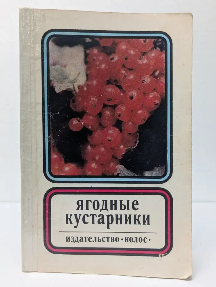 Ягодные кустарники