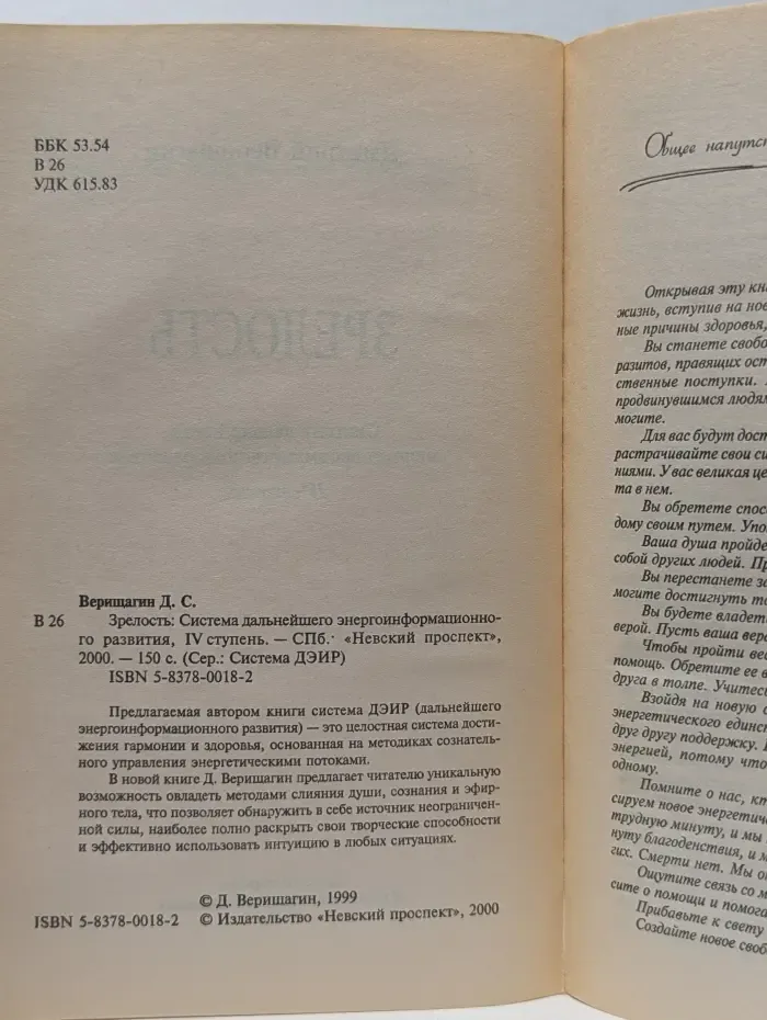 Зрелость. Система дальнейшего энергоинформационного развития, IV ступень