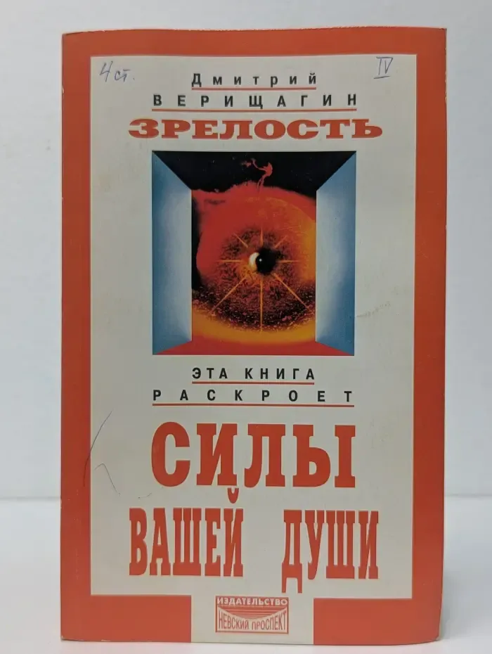 Зрелость. Система дальнейшего энергоинформационного развития, IV ступень