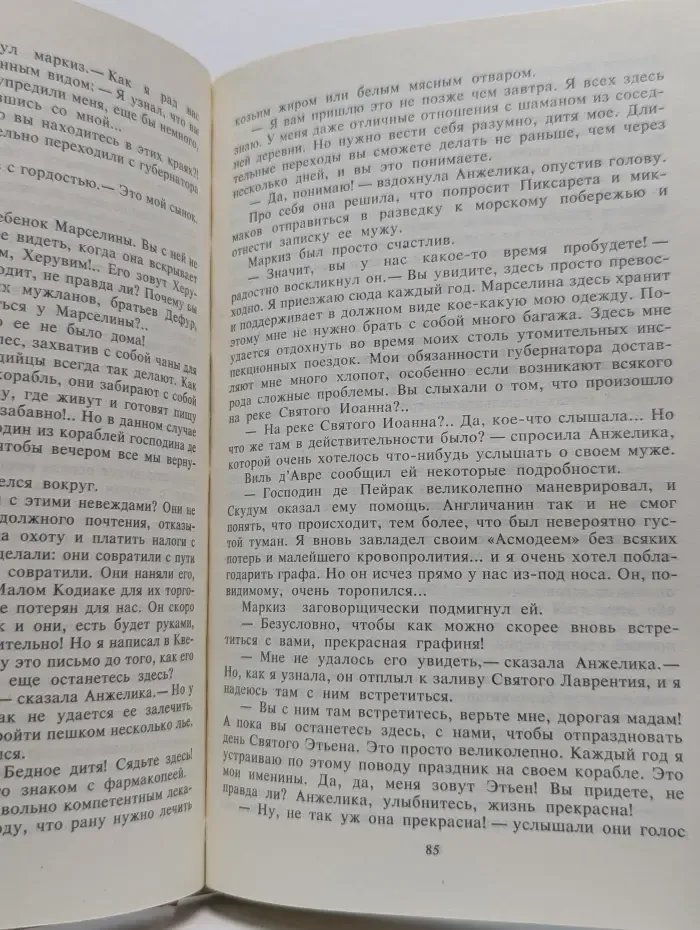 Анжелика и Дьяволица. Книга 2