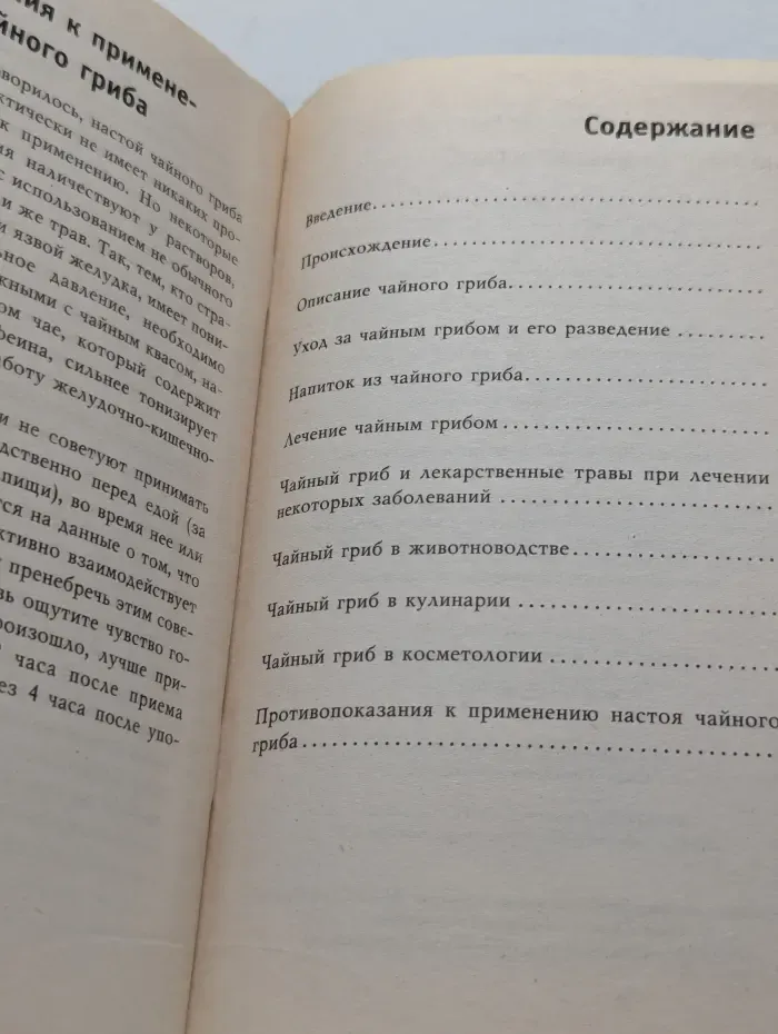 Здоровье и красота. Чайный гриб. Чудо-целитель в трехлитровой банке