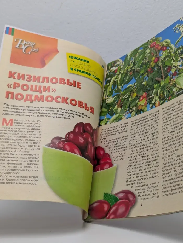 Приусадебное хозяйство. Выпуск № 10/2020