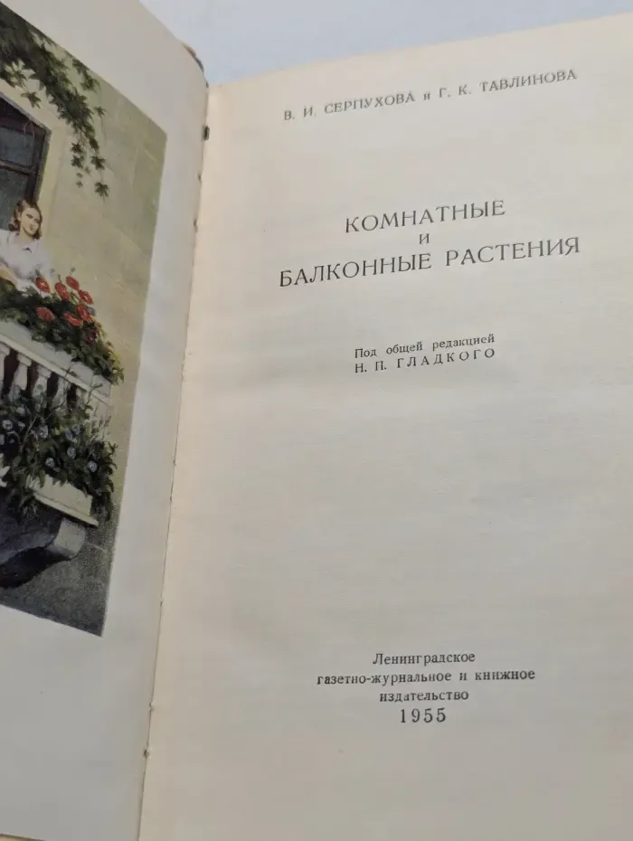 Комнатные и балконные растения