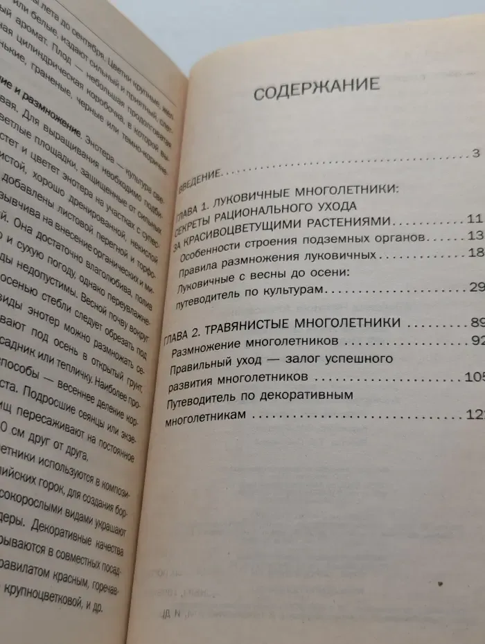 Шикарный цветник из многолетников. Для тех, кому некогда