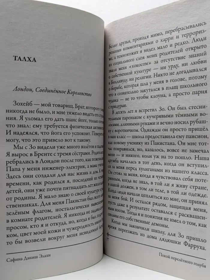 Покой перелетного голубя