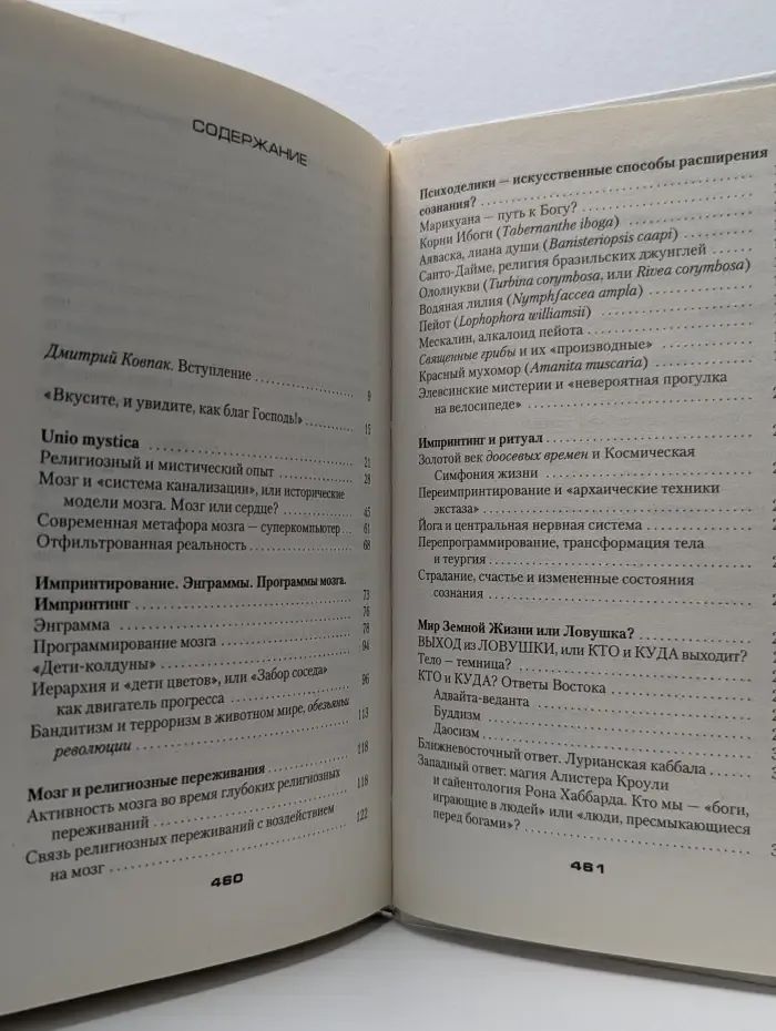 Лабиринты ума