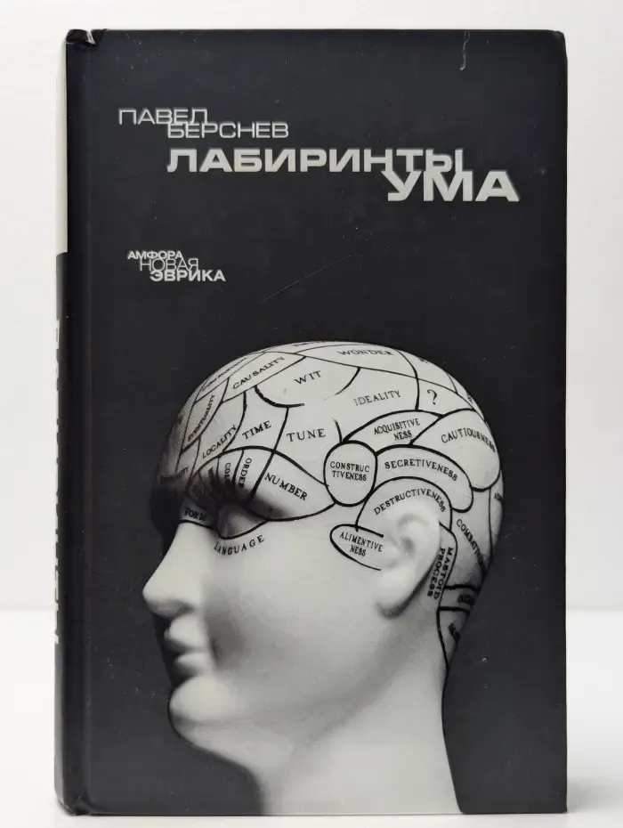 Лабиринты ума