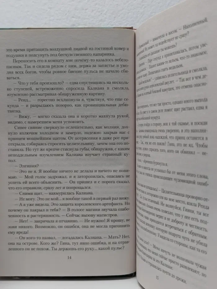 Романтическая фантастика. Последний отбор. Угол для дерзкого принца