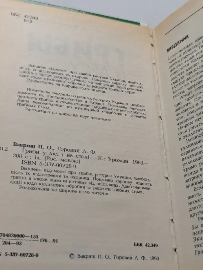 Грибы в лесу и на столе