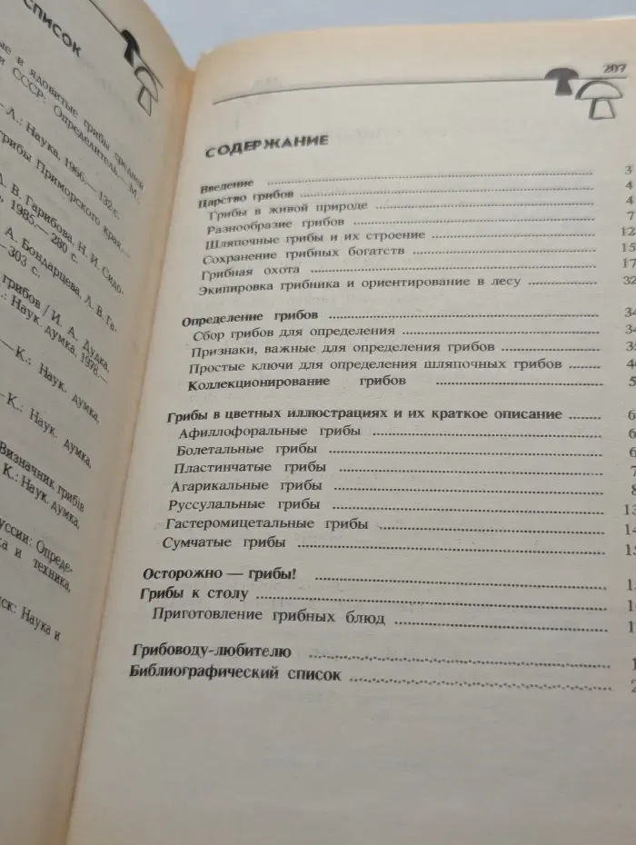 Грибы в лесу и на столе