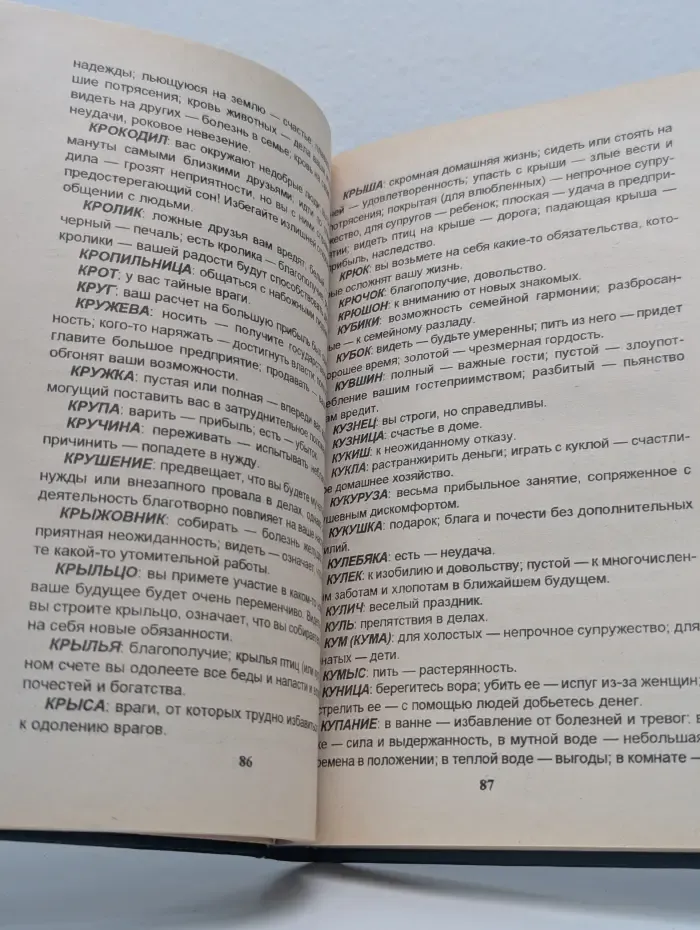 Кудесник. Толкователь снов