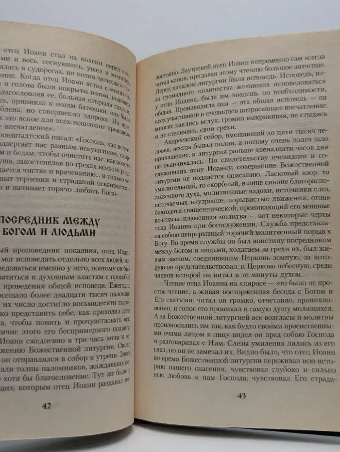 Феномен святого Шарбеля. Святые земли Русской. Откровения о судьбе России