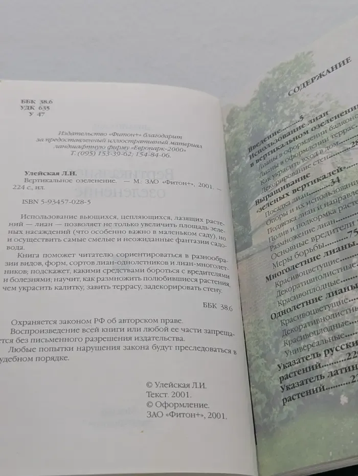 Вертикальное озеленение