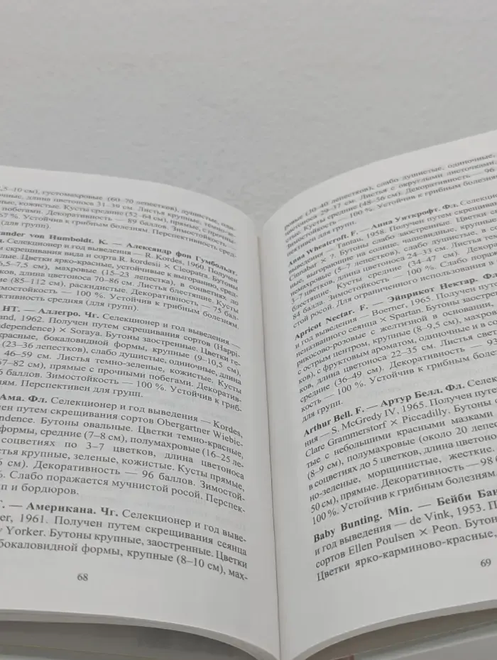 Цветник. Розы